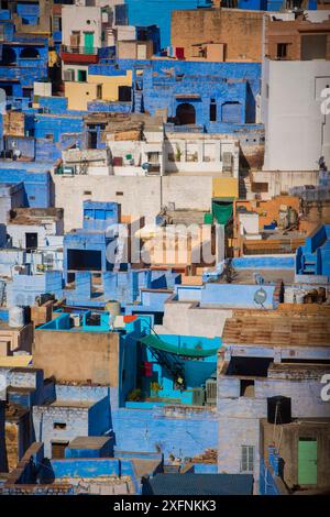 Vue aérienne de la ville bleue, Jodhpur, Rajasthan, Inde. Mars 2015 Banque D'Images