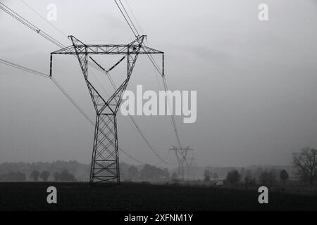 Cette photographie en noir et blanc capture des lignes électriques qui s'étendent sur un paysage brumeux. Les structures imposantes et leurs motifs complexes Banque D'Images
