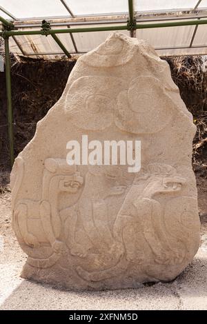 Sculptures en bas relief à Chalcatzingo, Mexique. Art olmèque de 1500BC-500BC, pierre représentant trois félins, probablement des jaguars. Banque D'Images