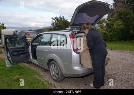 Dr Jenny Macpherson plaçant une cage de voyage contenant une martre de pin (Martes martes) capturée dans les bois écossais dans un fourgon de transport d'animaux après que son radiocollar a été installé, pour un projet de réintroduction au pays de Galles géré par le Vincent Wildlife Trust, région des Highlands, Écosse, septembre 2016. Autorisation du modèle. Banque D'Images