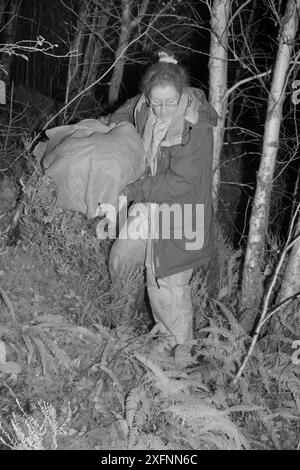 Dr Jenny Macpherson transportant un piège vivant contenant une martre des pins (Martes martes) capturée la nuit dans les bois écossais pour un projet de réintroduction au pays de Galles géré par le Vincent Wildlife Trust, région des Highlands, Écosse, septembre 2016. Autorisation du modèle. Filmé à l'aide d'une lumière infrarouge pour minimiser les perturbations. Banque D'Images