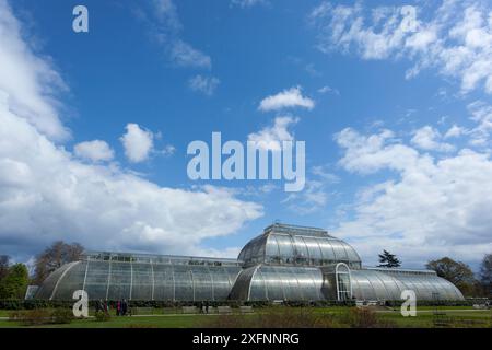 Palm House, Kew Gardens, Londres, Angleterre, Royaume-Uni, avril 2016. Banque D'Images