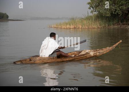 Moine traversant le lac Tana, source du Nil Bleu, du monastère Debra Mariam au continent. Réserve de biosphère du lac Tana, Éthiopie. Avril 2015. Banque D'Images