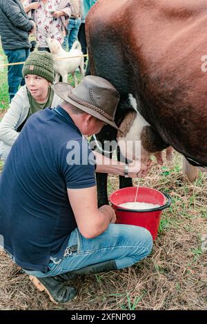 Mogotes, Santander, Colombie, 28 juin 2024, un homme traite une vache pendant que son fils regarde, dans un concours traditionnel au festival de la ville Banque D'Images