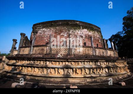 Toque macaque (Macaca sinica sinica) sur des ruines antiques. Polonnaruwa, Sri Lanka Février. Banque D'Images