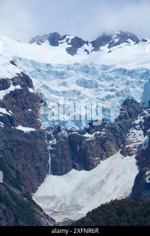 Glacier Torrecillas, parc national Los Alerces, patrimoine mondial de l'UNESCO, Argentine. Banque D'Images