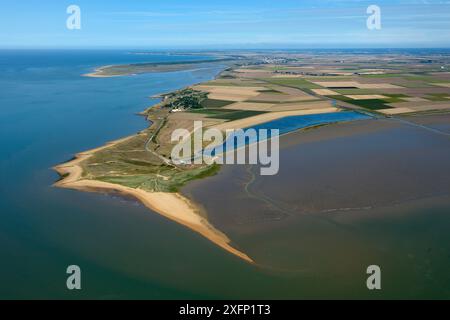 Pointe de l'Aiguillon, l'Aiguillon sur mer, Baie de l'Aiguillon, Vendée, France, juillet 2017. Banque D'Images