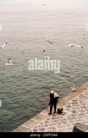 Sorrente, Italie - 24 juillet 2024 : un homme marchant sur une côte de la ville de Sorrente avec des goélands de mer volant tout autour pendant la journée brumeuse Banque D'Images