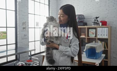 Une jeune vétérinaire asiatique tient un chat moelleux dans un cadre lumineux et moderne de clinique vétérinaire. Banque D'Images