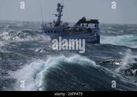 Bateau de pêche 'Harvester' se dirigeant vers des lieux de pêche à l'est des Shetland pendant une tempête estivale. Août 2016. Autorisation du propriétaire. Autorisation du propriétaire. Banque D'Images