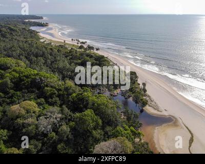 Plage dans le Parc National de Loango, Parc National de Loango, Océan Atlantique, vue aérienne, Province Ogooue-maritime, Gabon Banque D'Images