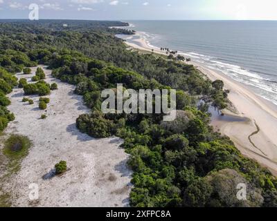 Plage dans le Parc National de Loango, Parc National de Loango, Océan Atlantique, vue aérienne, Province Ogooue-maritime, Gabon Banque D'Images