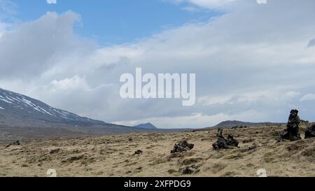 En été, près de Dritvik, péninsule de Snaefellsnes, forme de roches volcaniques et champs de lave islandais Banque D'Images