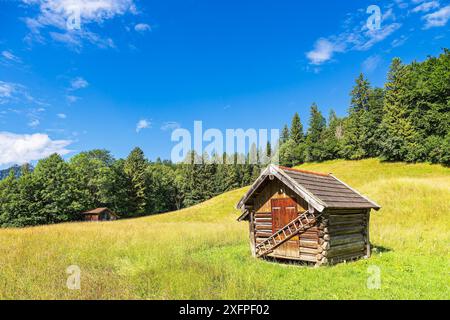 Hutte à foin dans les prairies à hummock entre Mittenwald et Kruen Banque D'Images