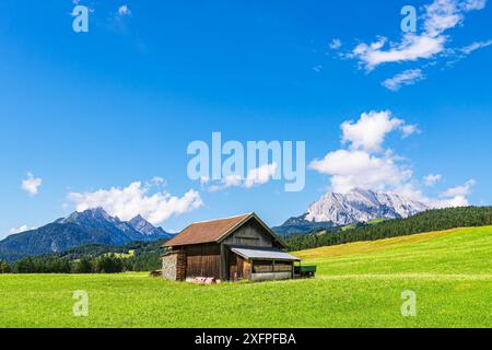 Hutte à foin dans les prairies à hummock entre Mittenwald et Kruen Banque D'Images