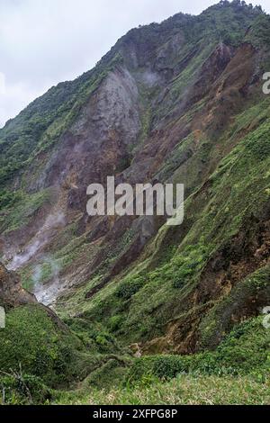 Les gens marchent avec un guide dans la vallée de la désolation afin d'atteindre le 'lac bouillant', parc national de Morne trois Pitons, site du patrimoine mondial de l'UNESCO, Dominique. Février 2015. Banque D'Images