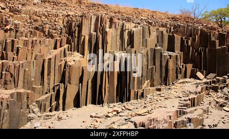 Les tuyaux d'orgue, colonnes de basalte en Namibie près de Khorixas Banque D'Images