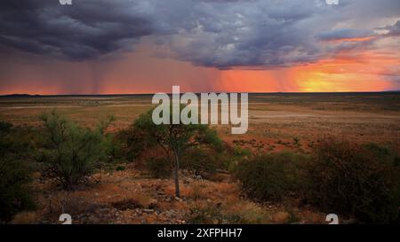 Tempêtes sur le parc national d'Etosha en Namibie Banque D'Images