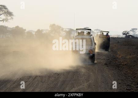 Véhicules de safari projetant de la poussière, parc national d'Amboseli, Kenya, août 2017. Banque D'Images