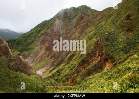 Les gens marchent avec un guide dans la vallée de la désolation afin d'atteindre le 'lac bouillant', parc national de Morne trois Pitons, site du patrimoine mondial de l'UNESCO, Dominique. Février 2015. Banque D'Images