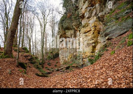 Devil gorge à l'Eifel, Teufelsschlucht avec rochers puissants et canyon, sentier de randonnée en Allemagne, formation rocheuse de grès, automne Banque D'Images