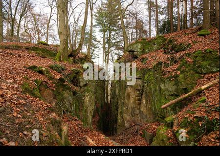 Devil gorge à l'Eifel, Teufelsschlucht avec rochers puissants et canyon, sentier de randonnée en Allemagne, formation rocheuse de grès, automne Banque D'Images