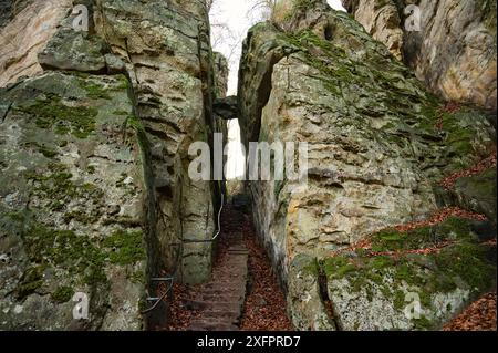 Devil gorge à l'Eifel, Teufelsschlucht avec rochers puissants et canyon, sentier de randonnée en Allemagne, formation rocheuse de grès, automne Banque D'Images