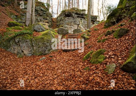 Devil gorge à l'Eifel, Teufelsschlucht avec rochers puissants et canyon, sentier de randonnée en Allemagne, formation rocheuse de grès, automne Banque D'Images