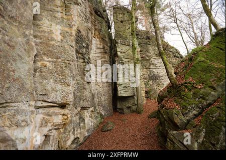 Devil gorge à l'Eifel, Teufelsschlucht avec rochers puissants et canyon, sentier de randonnée en Allemagne, formation rocheuse de grès, automne Banque D'Images