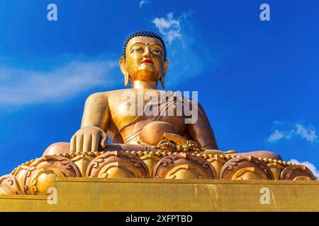 La statue de Bouddha Dordenma à Buthan est le plus grand Bouddha du monde. Bouddha doré avec ciel bleu avec des nuages en arrière-plan Banque D'Images