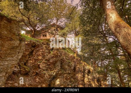 Une maison sur un éperon rocheux, entouré d'arbres denses dans une forêt, grands arbres vieux, nature sauvage, Profitis Ilias, Rhodes, Dodécanèse, îles grecques Banque D'Images