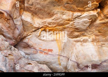 Peintures rupestres San d'éléphants et de gens, Cederberg Wilderness, Afrique du Sud Banque D'Images