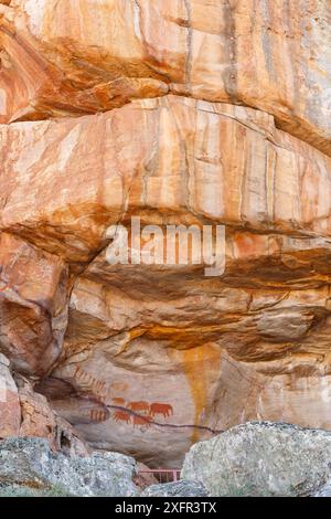 Peintures rupestres San d'éléphants et de gens, Cederberg Wilderness, Afrique du Sud Banque D'Images