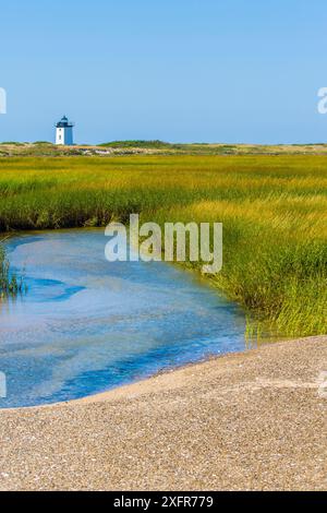 Cordon salt marsh grass (Spartina alterniflora) sur les rives de Cape Cod, avec phare de Long Point en arrière-plan, Massachusetts, USA, septembre. Banque D'Images