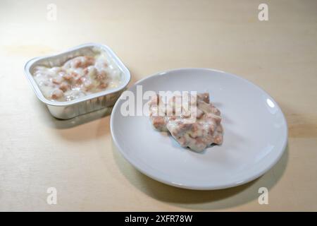 Nourriture pour chats, nourriture humide disponible dans le commerce fabriquée à partir de sous-produits animaux sur une assiette et mise en conserve dans une boîte de portions jetable en aluminium, espace de copie, sélection Banque D'Images