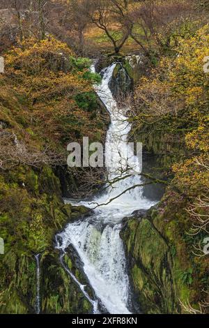 Cascade de Llanberis, également connue sous le nom de cascade de Ceunant Mawr, sur l'Afon (rivière) Arddu, près de Llanberis, pays de Galles du Nord, Royaume-Uni, novembre 2017. Banque D'Images
