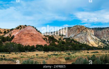 Falaises blanches et roses, Grand Staircase-Escalante National Monument, Johnson Canyon, Kanab, Utah Banque D'Images