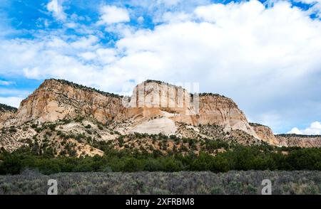 Falaises blanches majestueuses, Grand Staircase-Escalante National Monument, Johnson Canyon, Kanab, Utah Banque D'Images