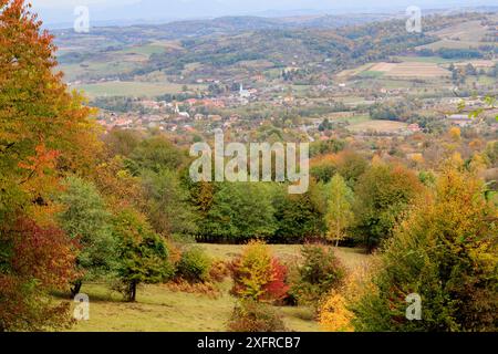 Europe, Roumanie. Maramures pays, vue territoriale avec couleur d'automne. Banque D'Images
