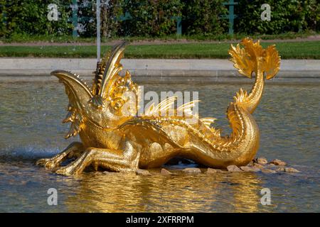 PETRODVORETS, RUSSIE - 13 JUIN 2024 : sculpture d'or d'un monstre marin en gros plan. Une des fontaines du Upper Park. Peterhof Banque D'Images