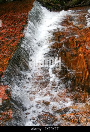 Eau en cascade à Quebrada de Jaspe, Jasper Creek, au-dessus du lit de pierres précieuses de jasper rouge et orange, Gran Sabana, Venezuela Banque D'Images