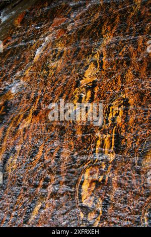 Lit de rivière avec motif de jaspe rouge et orange gemme à Quebrada de Jaspe, Jasper Creek, Gran Sabana, Venezuela Banque D'Images