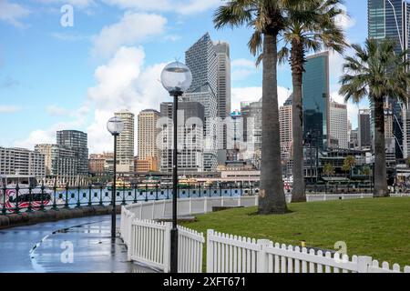 Gratte-ciel de Sydney à Circular Quay depuis le parc réserve de Hickson's Road avec des palmiers, paysage urbain de Sydney, Nouvelle-Galles du Sud, Australie Banque D'Images