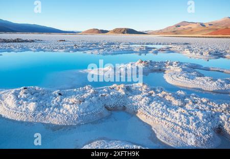 Paysages pittoresques fantastiques du nord de l'Argentine. De magnifiques paysages naturels inspirants. Laguna Verde à Salar Antofalla. Banque D'Images