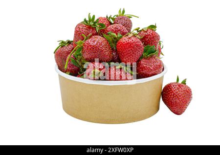 Vue rapprochée de fraises fraîches mûres isolées avec dans une boîte en carton sur une table blanche Banque D'Images