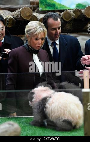 Brigitte Macron, épouse du président français, regardant le petit panda Yuan Meng (Ailuropoda melanoleuca) lors de la cérémonie de dénomination du petit panda de 4 mois au zoo de Beauval le 4 décembre 2017 à St-Aignan, France. UTILISATION ÉDITORIALE UNIQUEMENT - AUCUNE UTILISATION EN LIGNE AUTORISÉE. Banque D'Images
