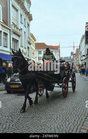 30-10-2014 Bruges, Belgique - Une calèche à cheval parcourt les rues pavées de Bruges, la pittoresque ville médiévale de Belgique Banque D'Images