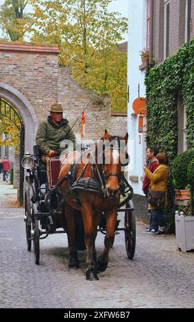 30-10-2014 Bruges, Belgique - Une calèche à cheval parcourt les rues pavées de Bruges, la pittoresque ville médiévale de Belgique Banque D'Images