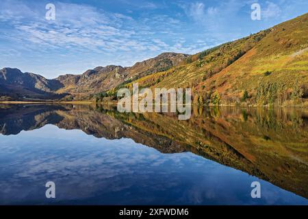 Llyn Crafnant, bordure nord de la forêt de Gwydir, avec vue sud-ouest à Craig Wen. Près de Llanwrst, parc national de Snowdonia, nord du pays de Galles, Royaume-Uni. Octobre 2017. Banque D'Images