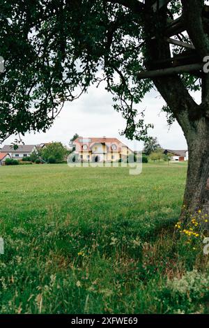 Une maison jaune avec un toit rouge se dresse dans un grand champ d'herbe verte, vue de dessous un grand arbre avec une plate-forme en bois intégrée dans son branc Banque D'Images